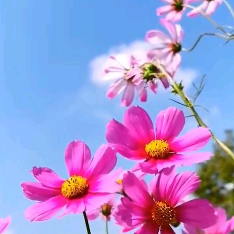 后⃝꯭🍀꯭来⃝᭄࿐吖