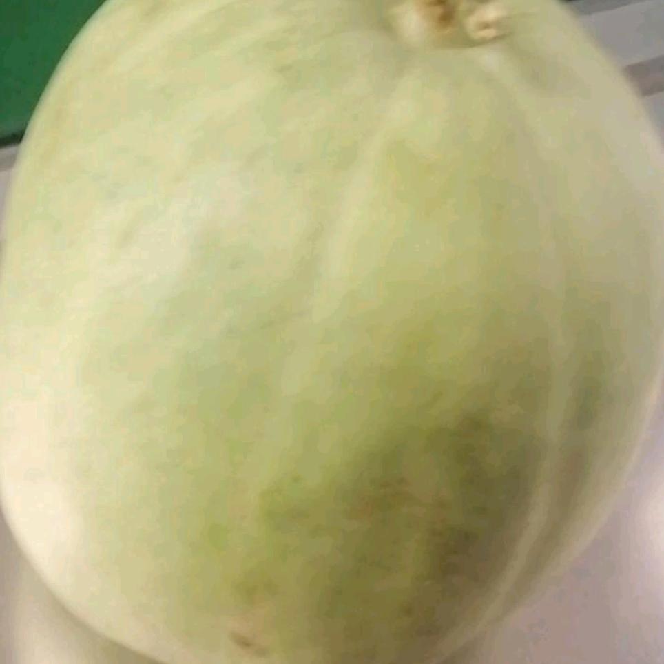 八九不离十！依孟