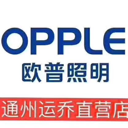 欧普照明运乔直营店