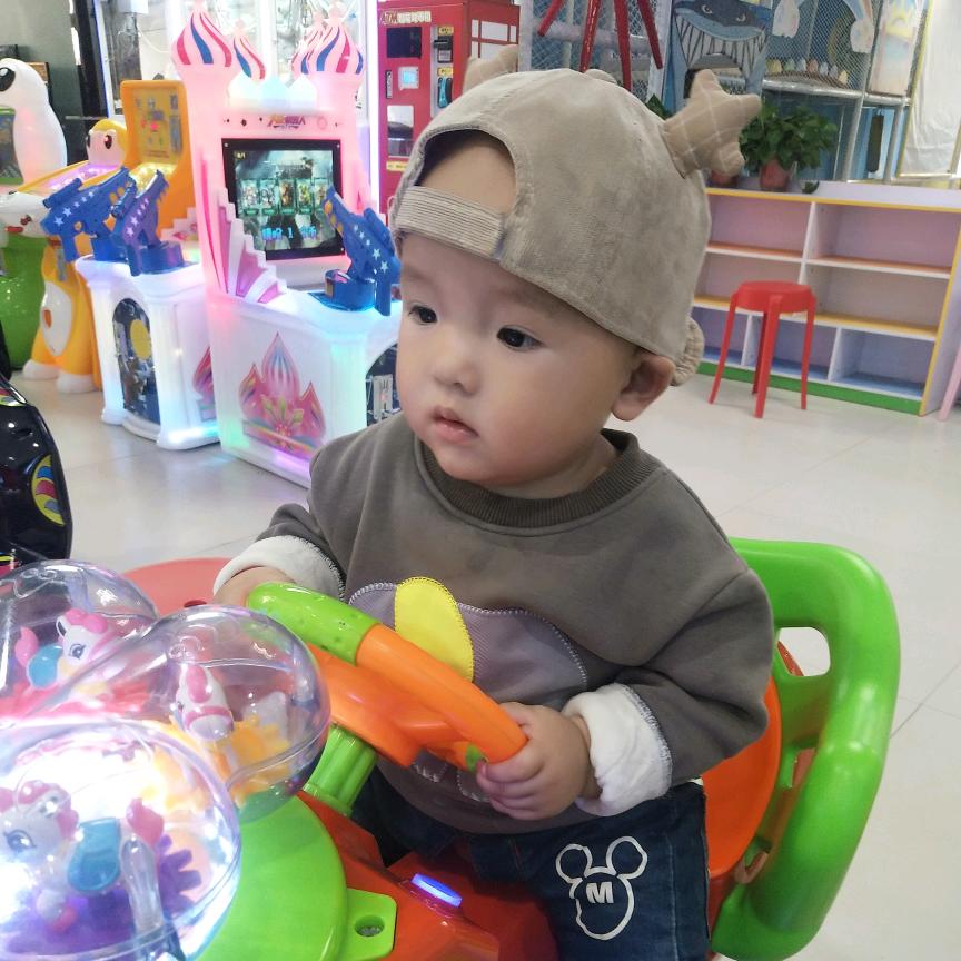 捌零后半挂@良良鸽舍