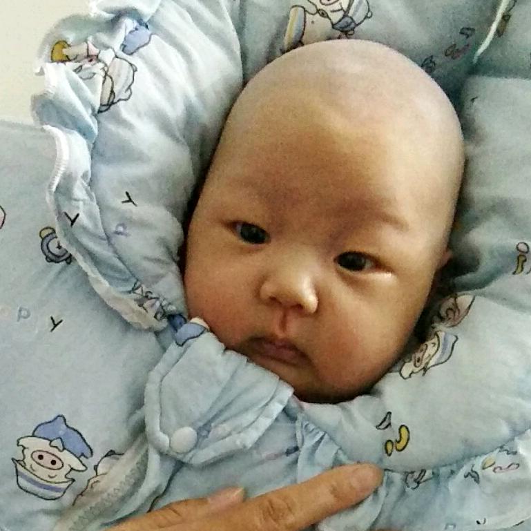 杨斌，玥玥，嵩嵩