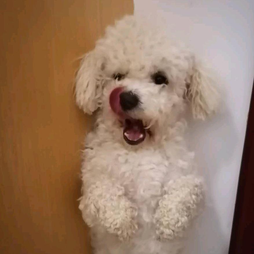 未经我事，别劝我善