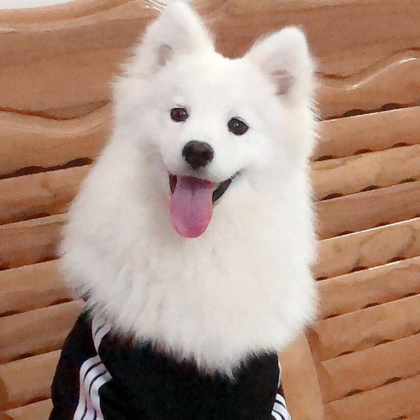 霖