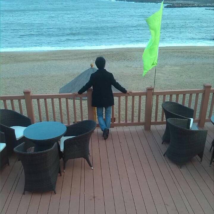 张锦林鱼胶批发