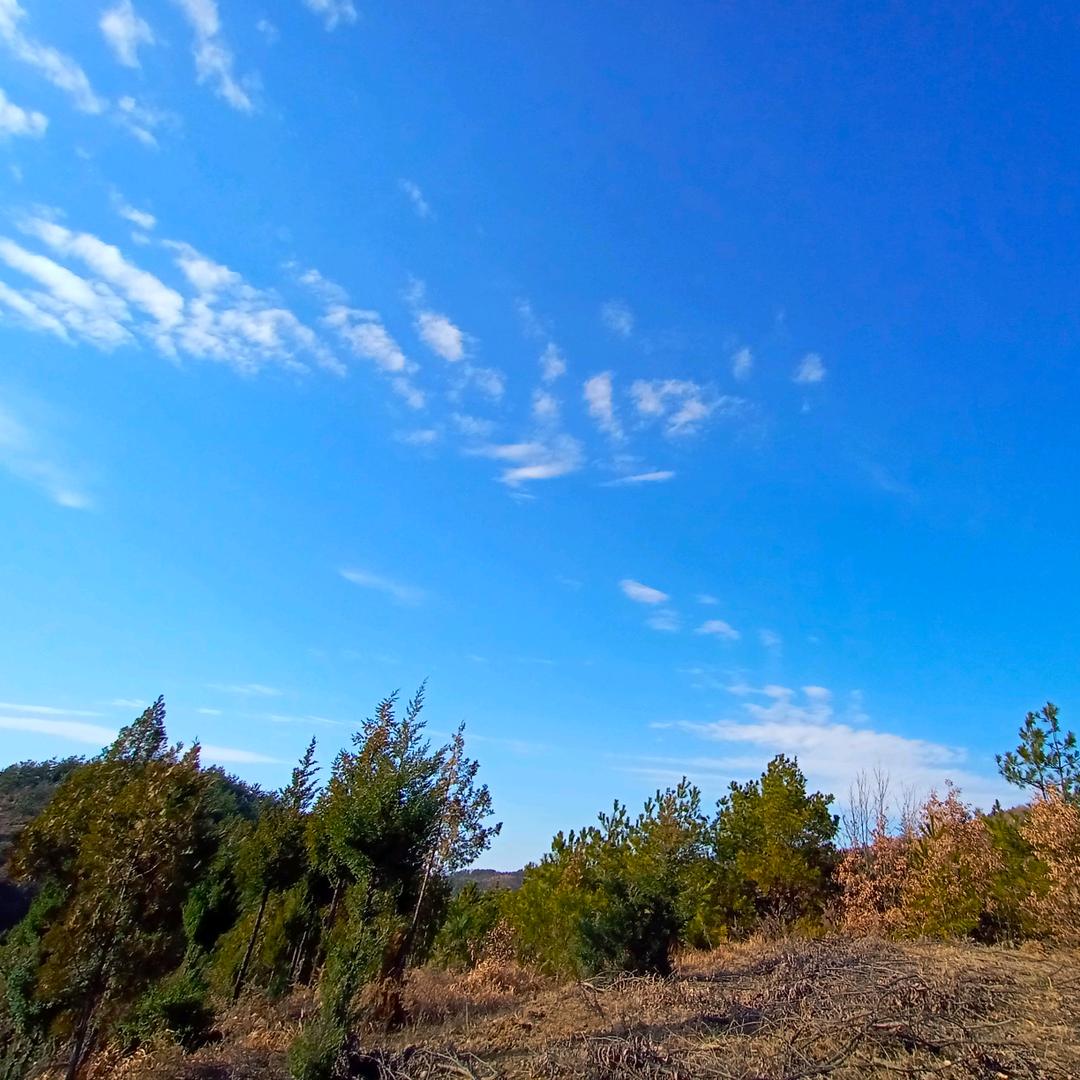车城路雅迪电动