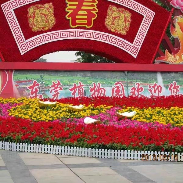 陕西武功（贞元）人在东莞👍👍👍