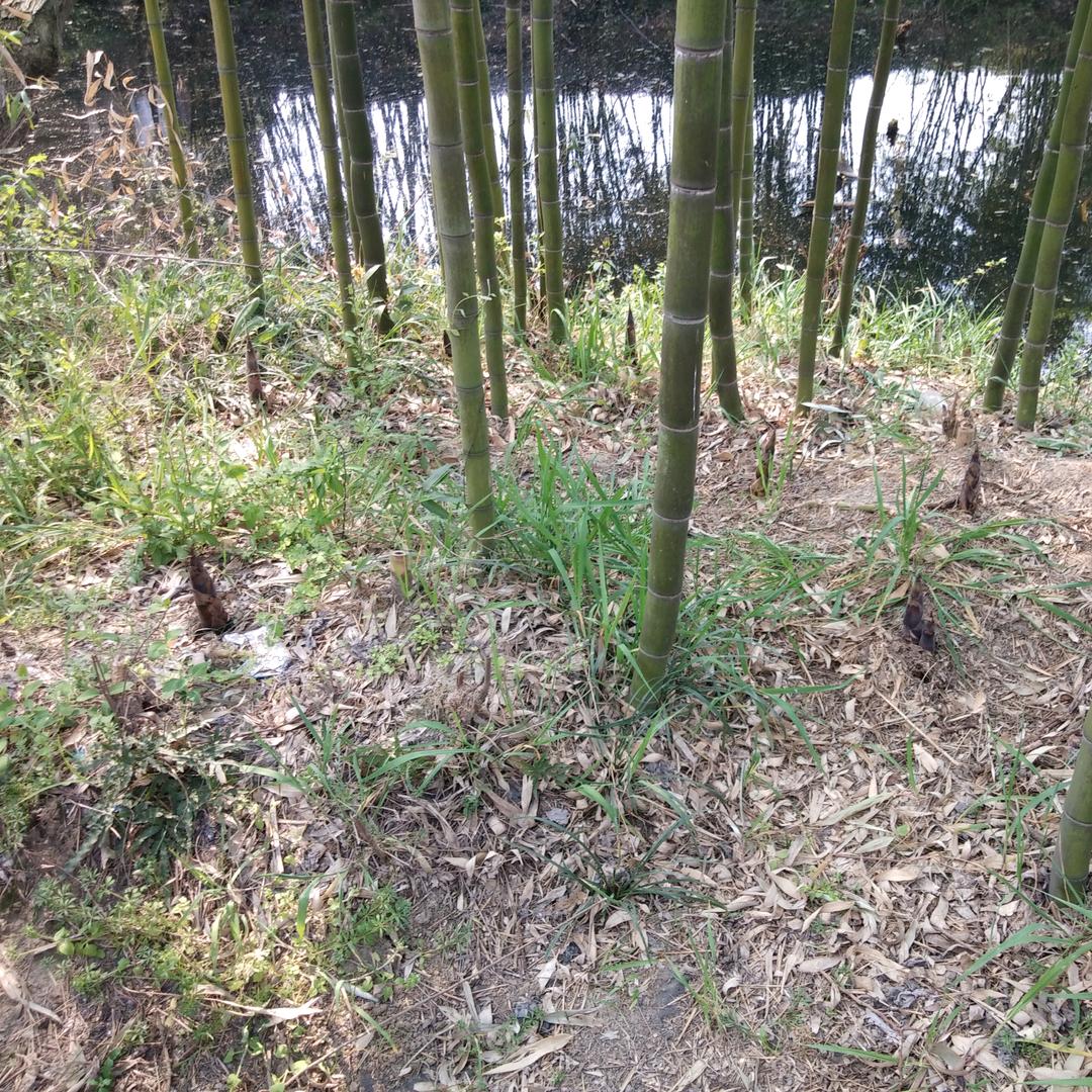 笑看世界