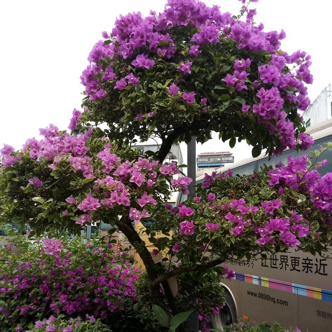 幸福人生