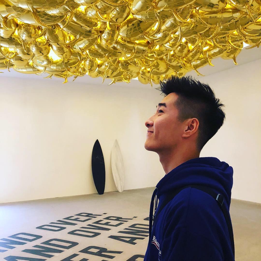 小虎砸🐯