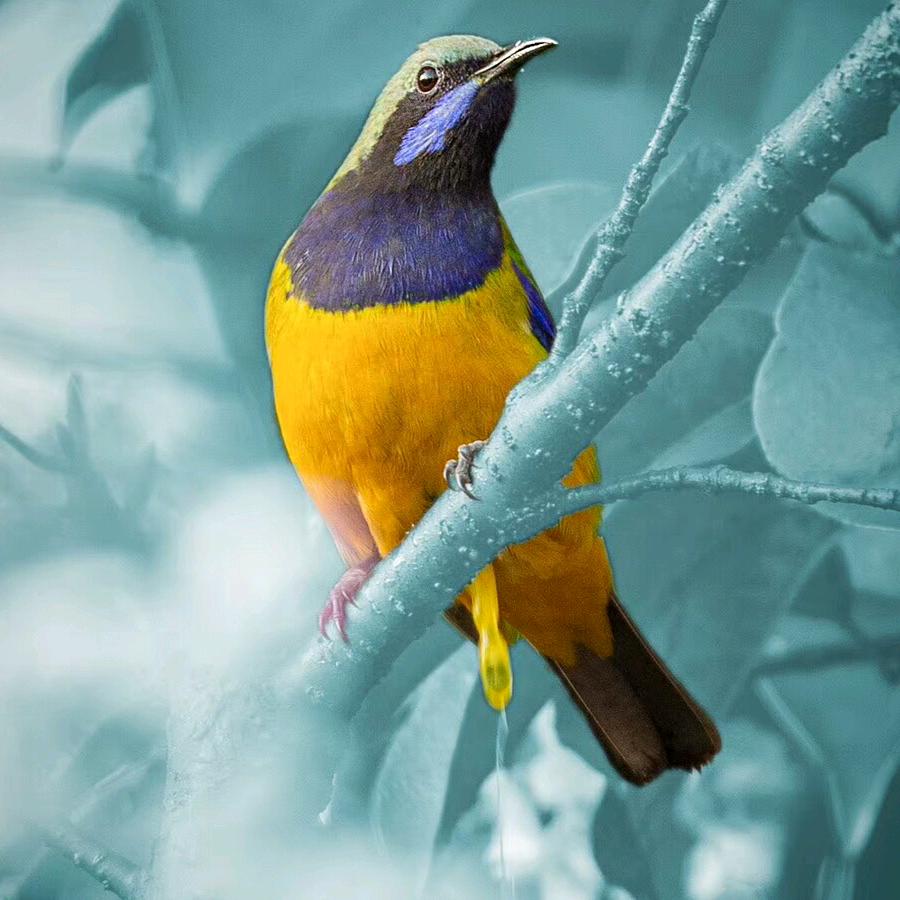 💞江南꧔ꦿ᭄碧玉꧔ꦿ᭄💞