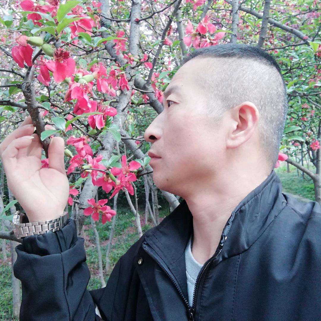 司马治强
