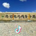 A高教练
