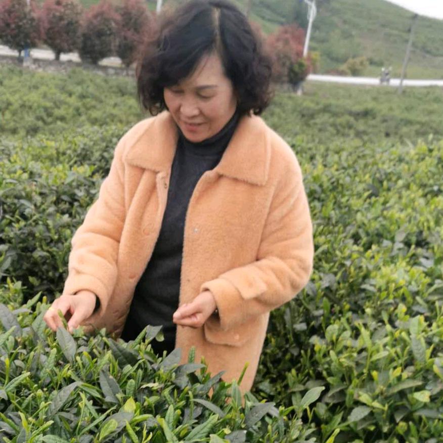 土家苗妹＜云雾季节性特产＞