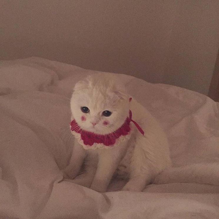 小k