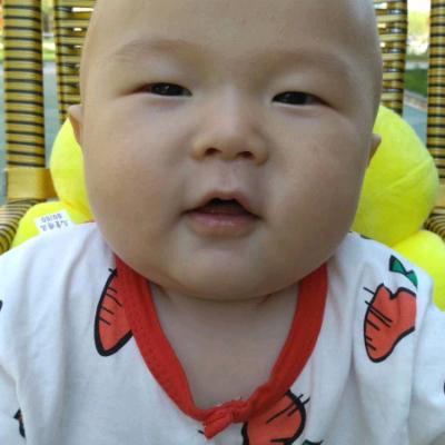 斯洪兰