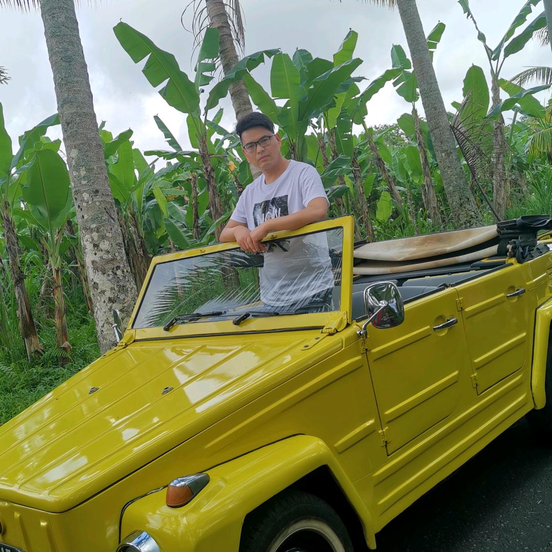 窗帘墙布布艺哥