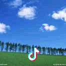 冰糖雪李