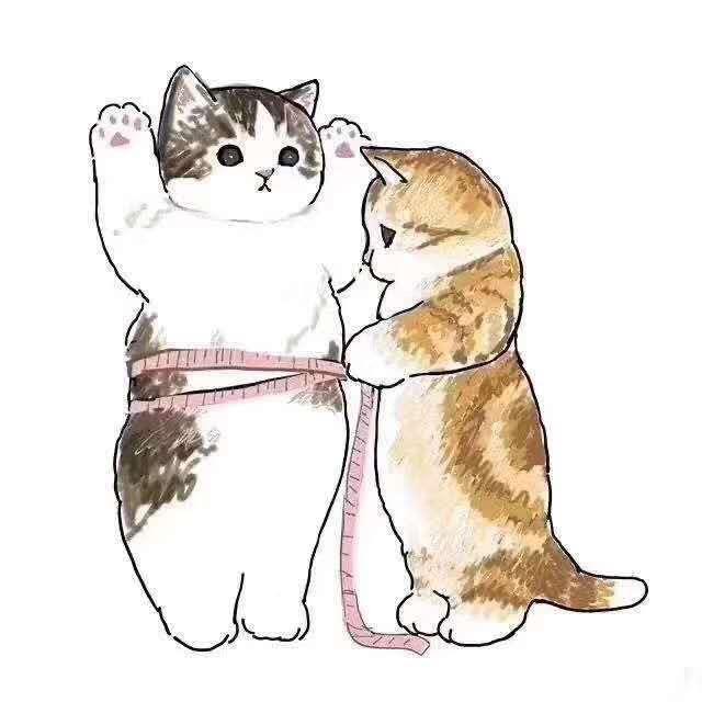蘑菇君