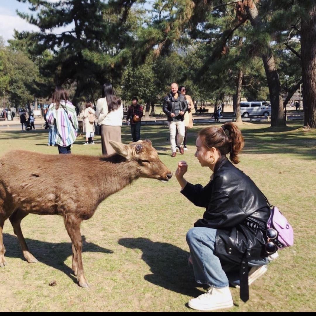 小山羊