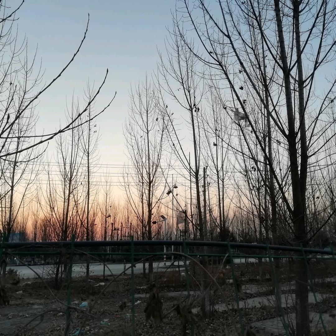 可好 别来无恙