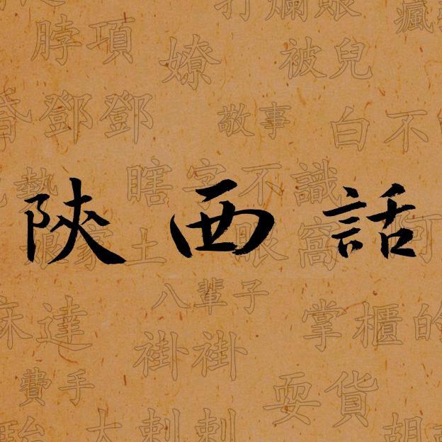 陕西新广在线