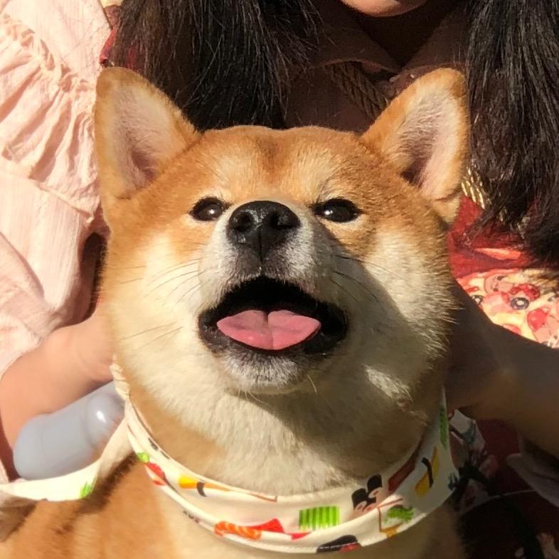 Makoto💛太一宝宝