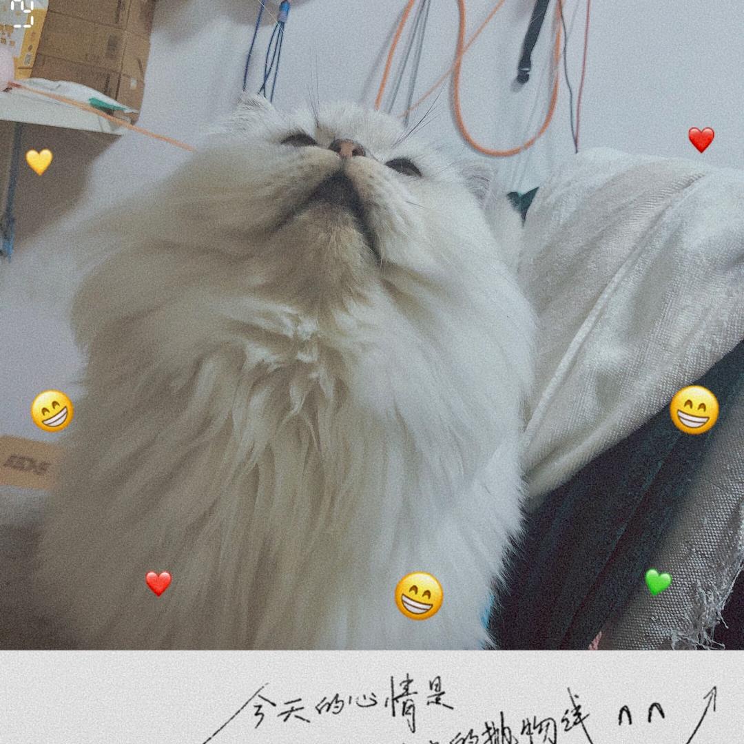 梅毛病12