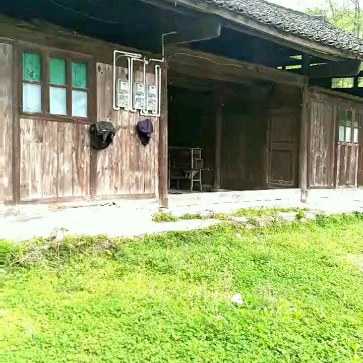 财源广进“杨氏家族”