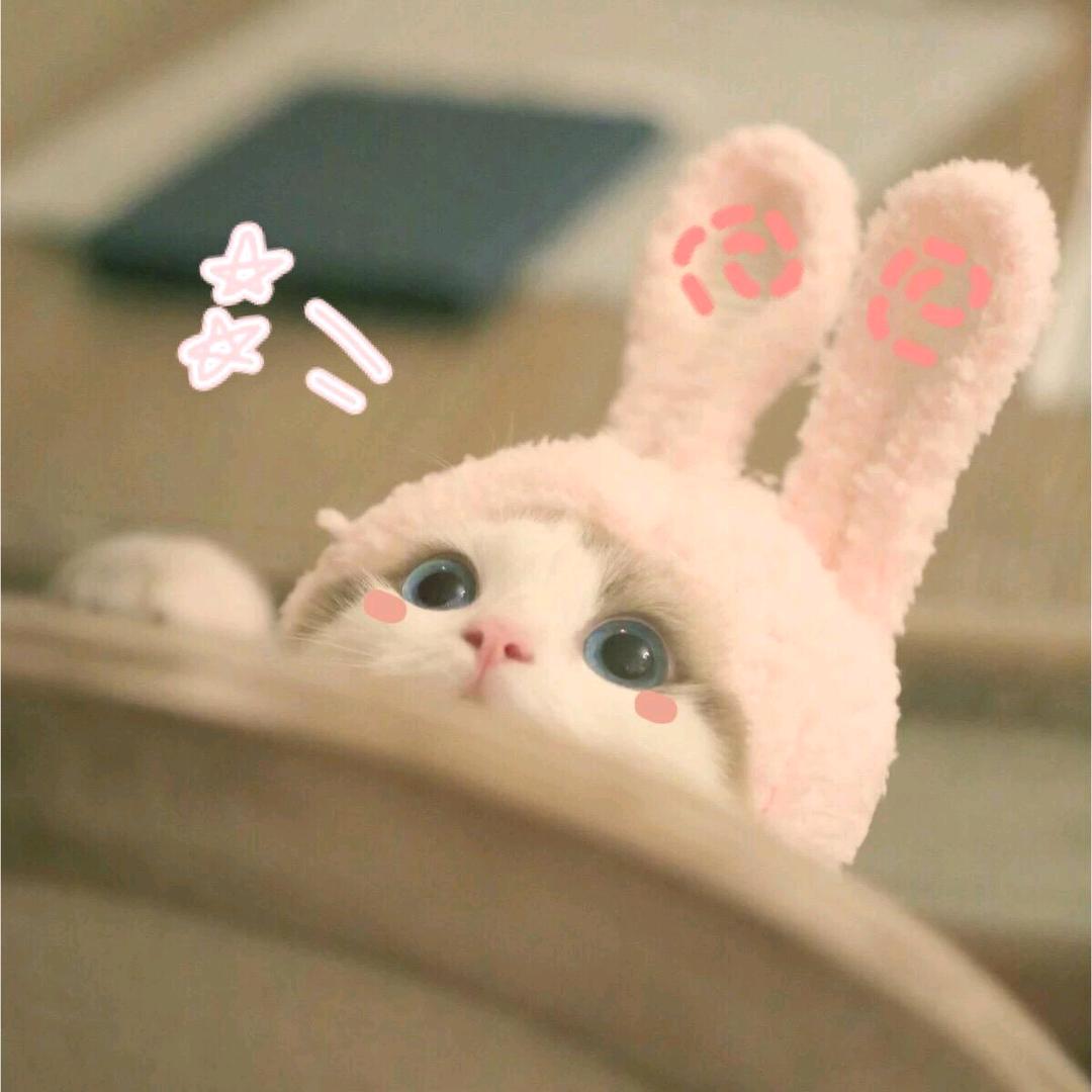 夹心🌸