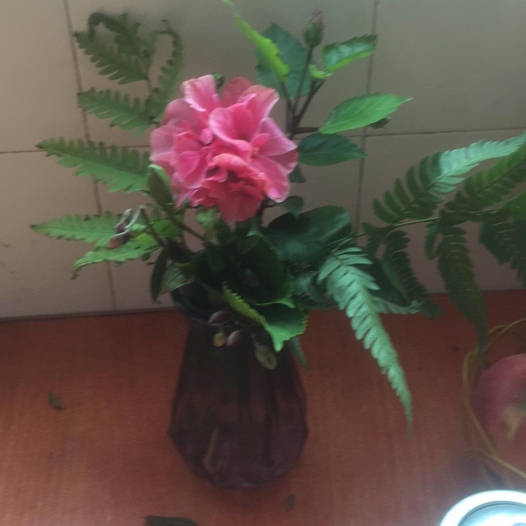 婚姻趣谈