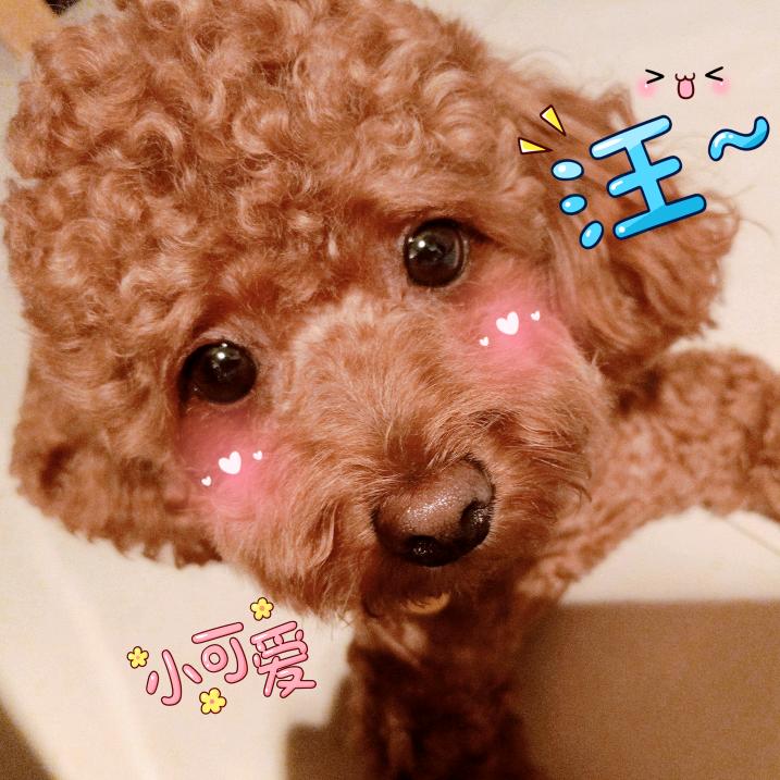 焦糖小糖果