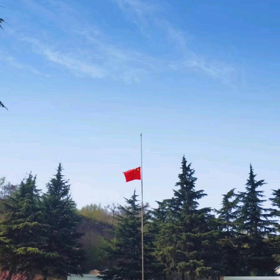 A-L-P🇨🇳