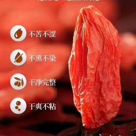 没长翅膀的燕子