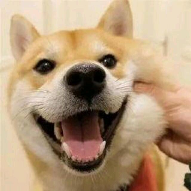 谦阳