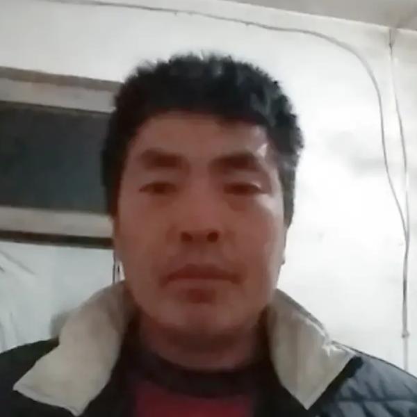 和为贵哥