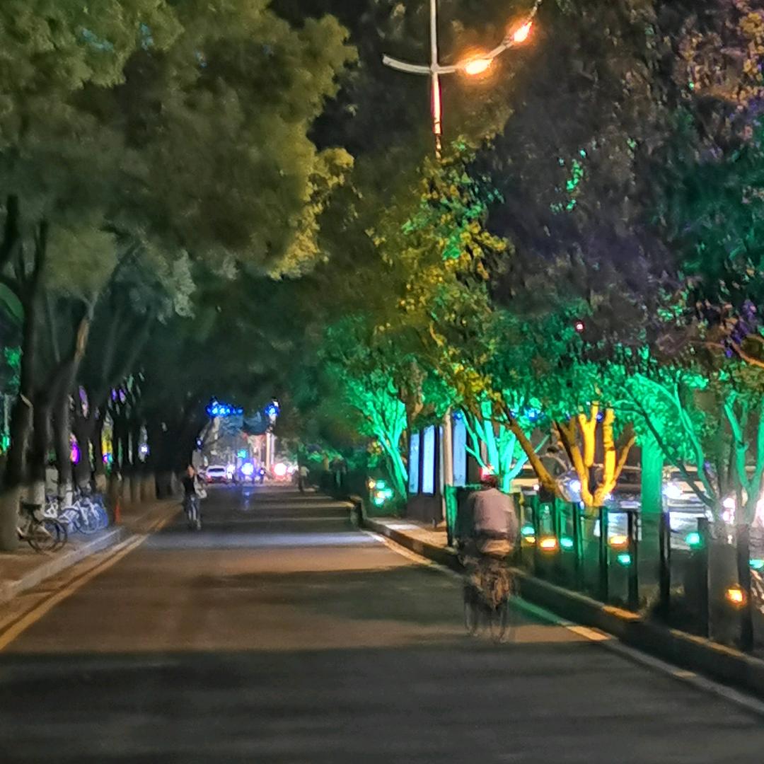 我爱我的城