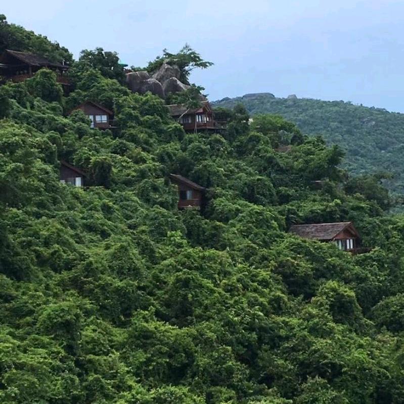 刘林涛