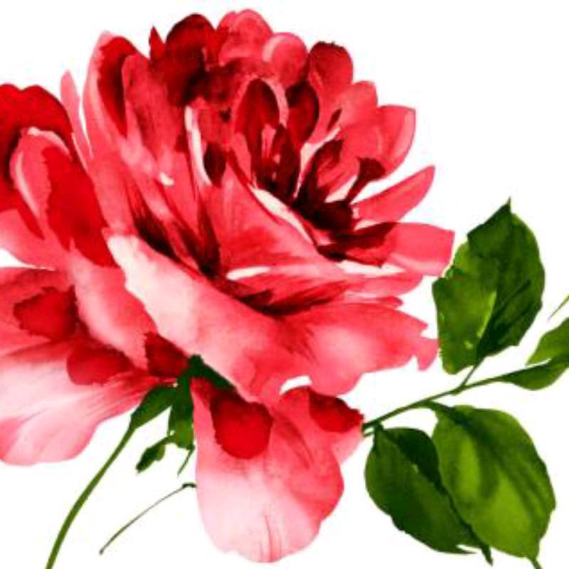 花好月圆