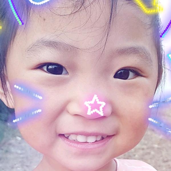 2026年我要建个蔬菜大棚