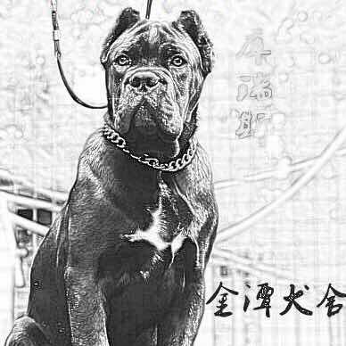 余果(湖北的)