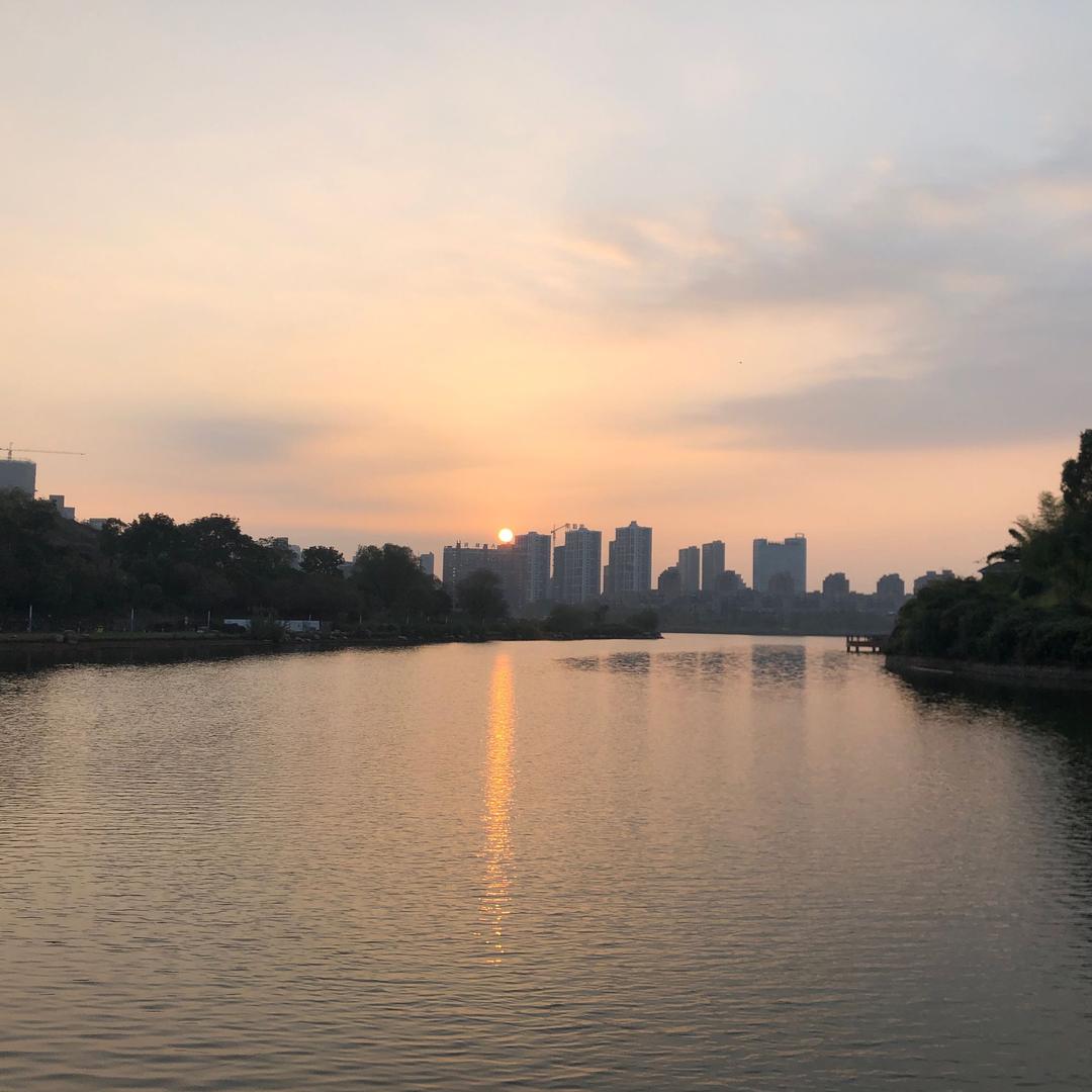上善若水