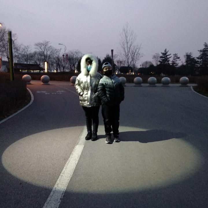 完美主义者