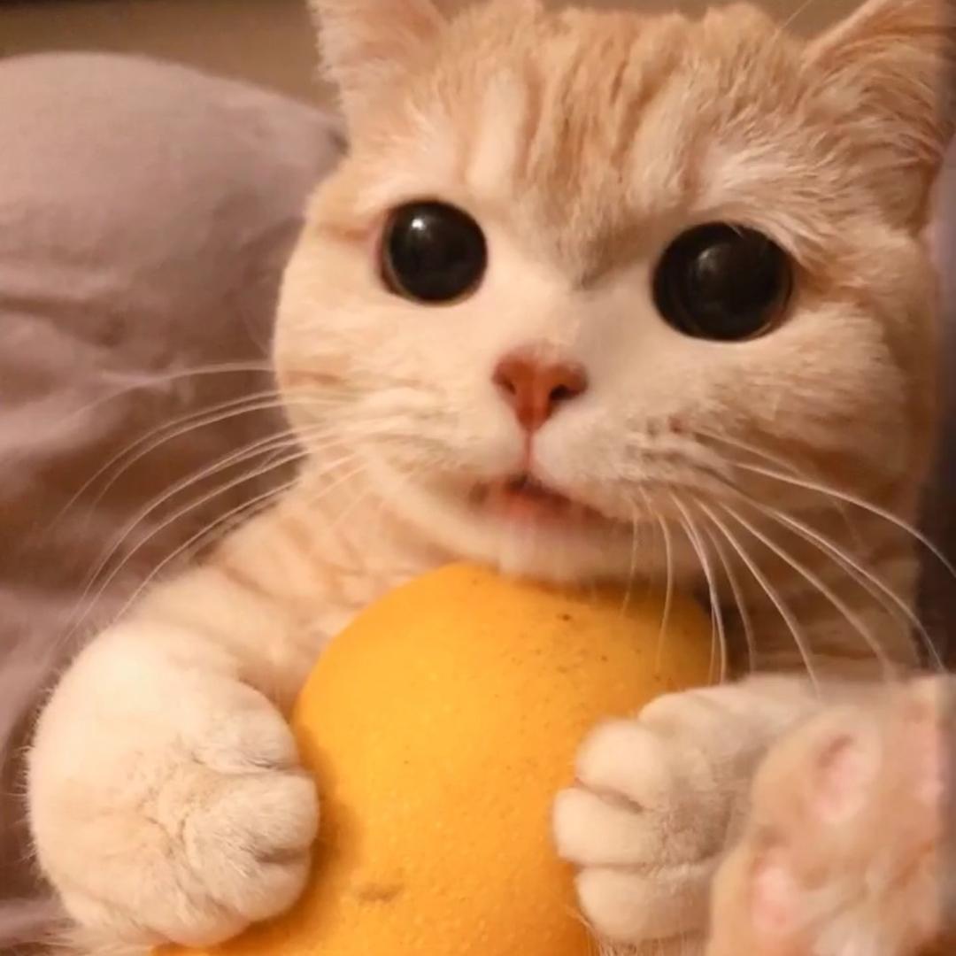 良辰美景奈何天