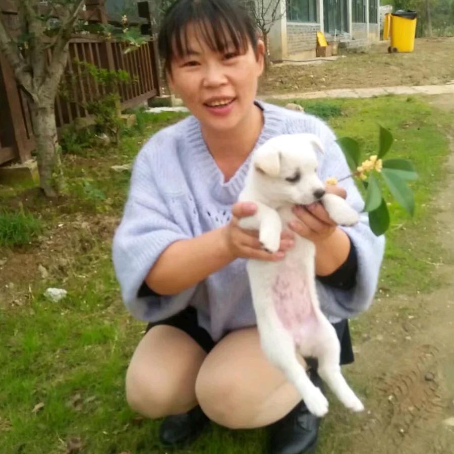 我本善良
