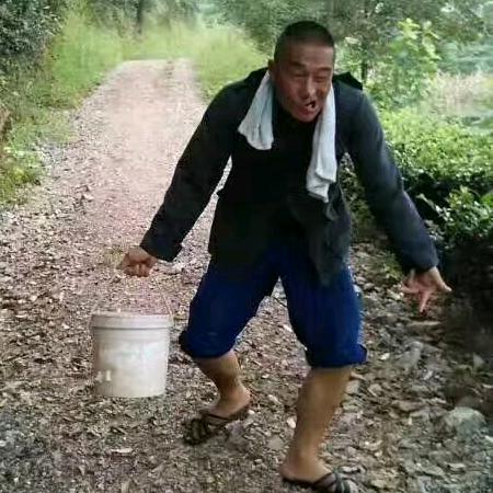 经得输