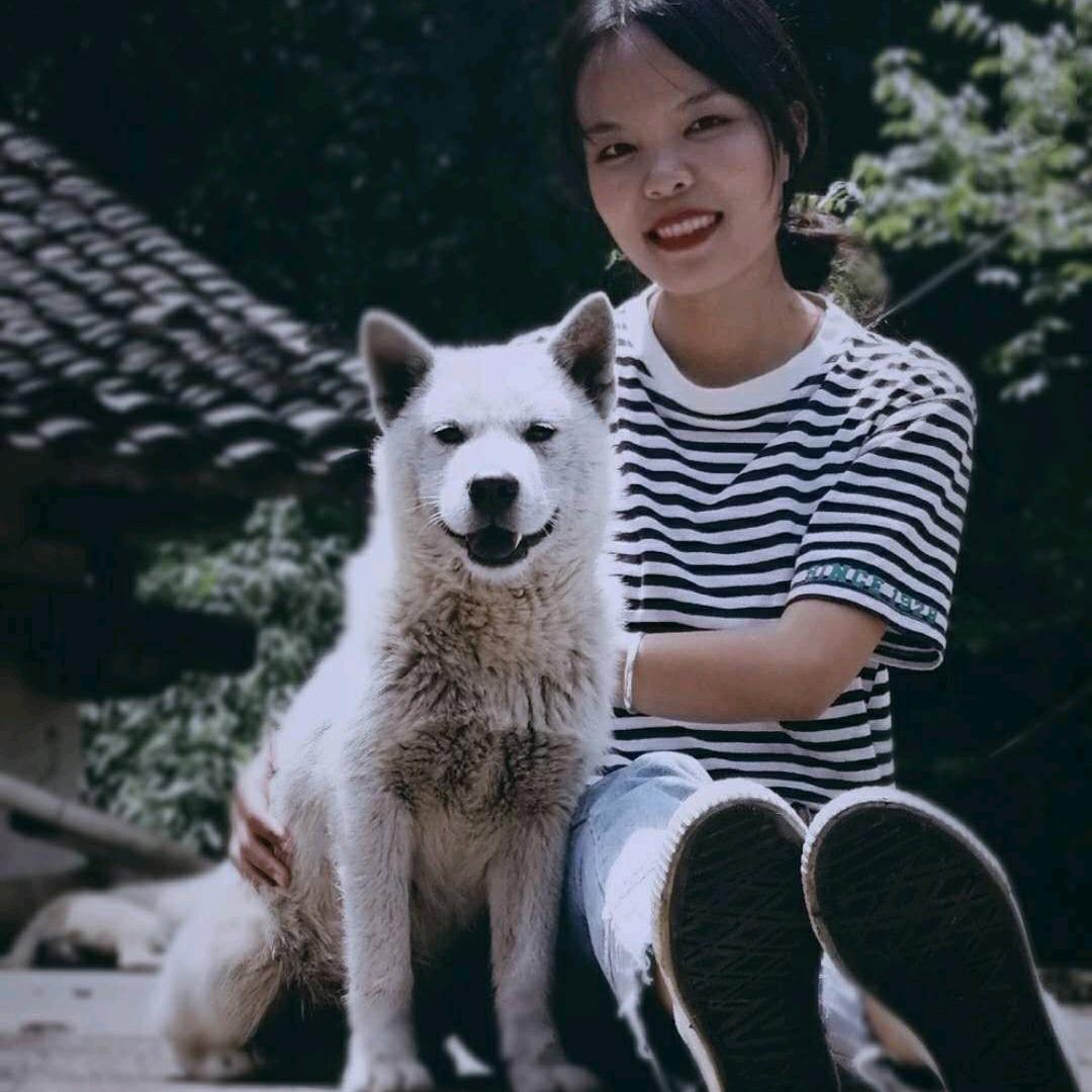 田园犬巡游记
