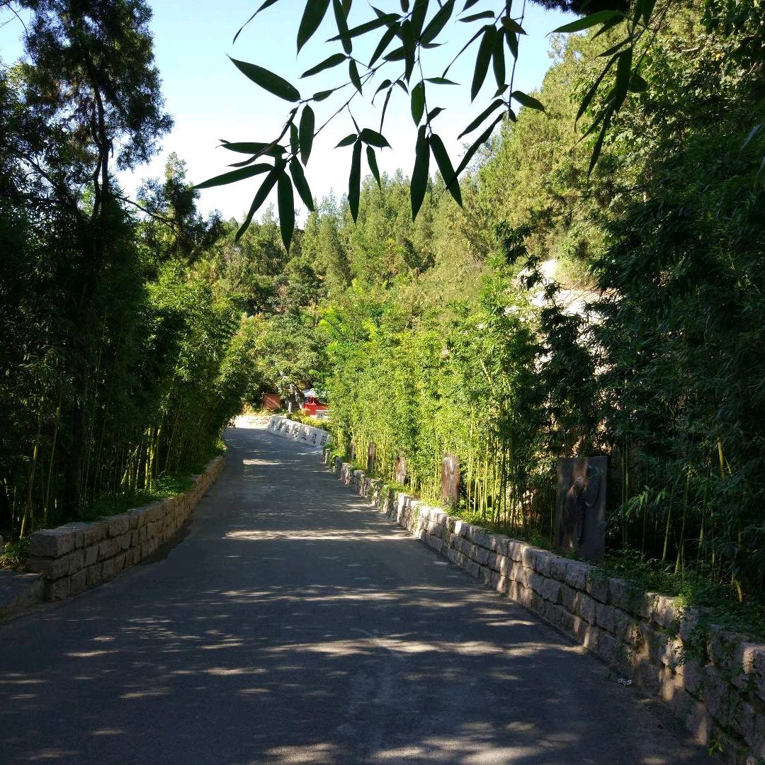 天使的泪