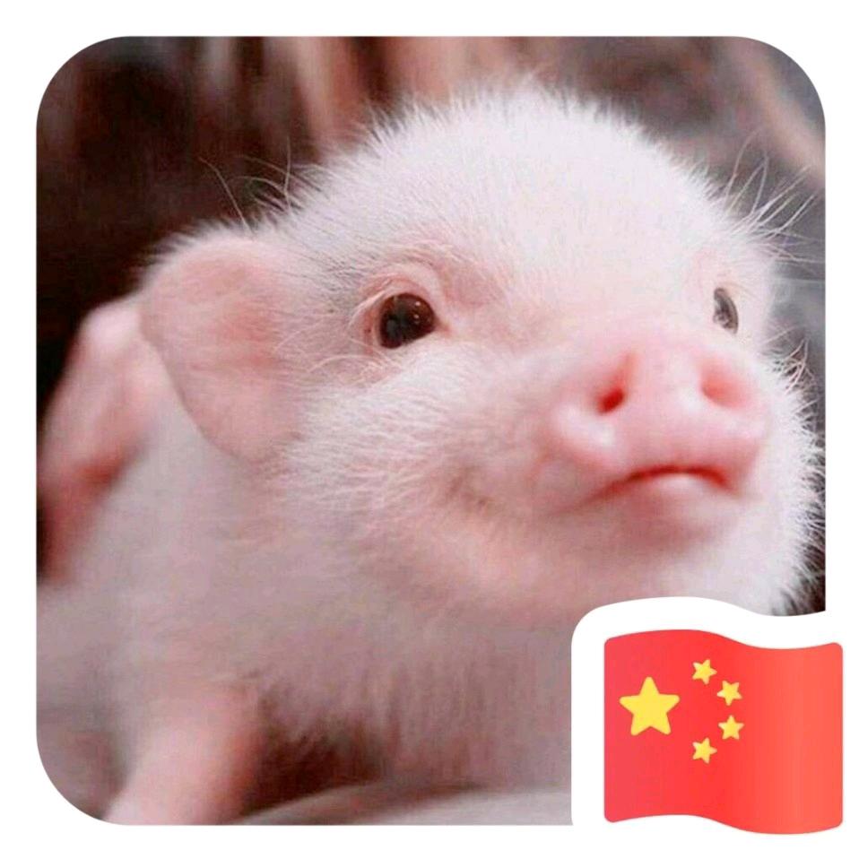 George Pig