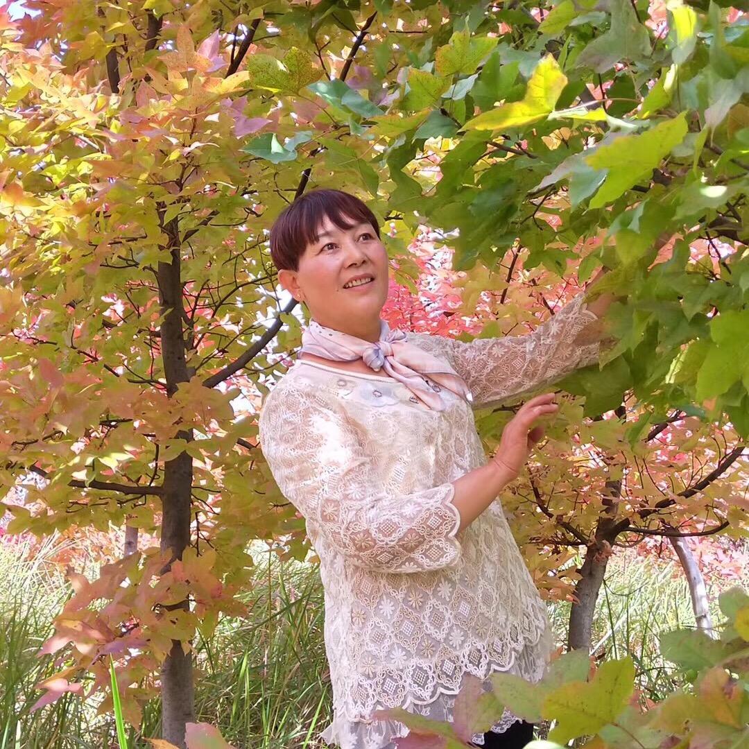 一帆风顺