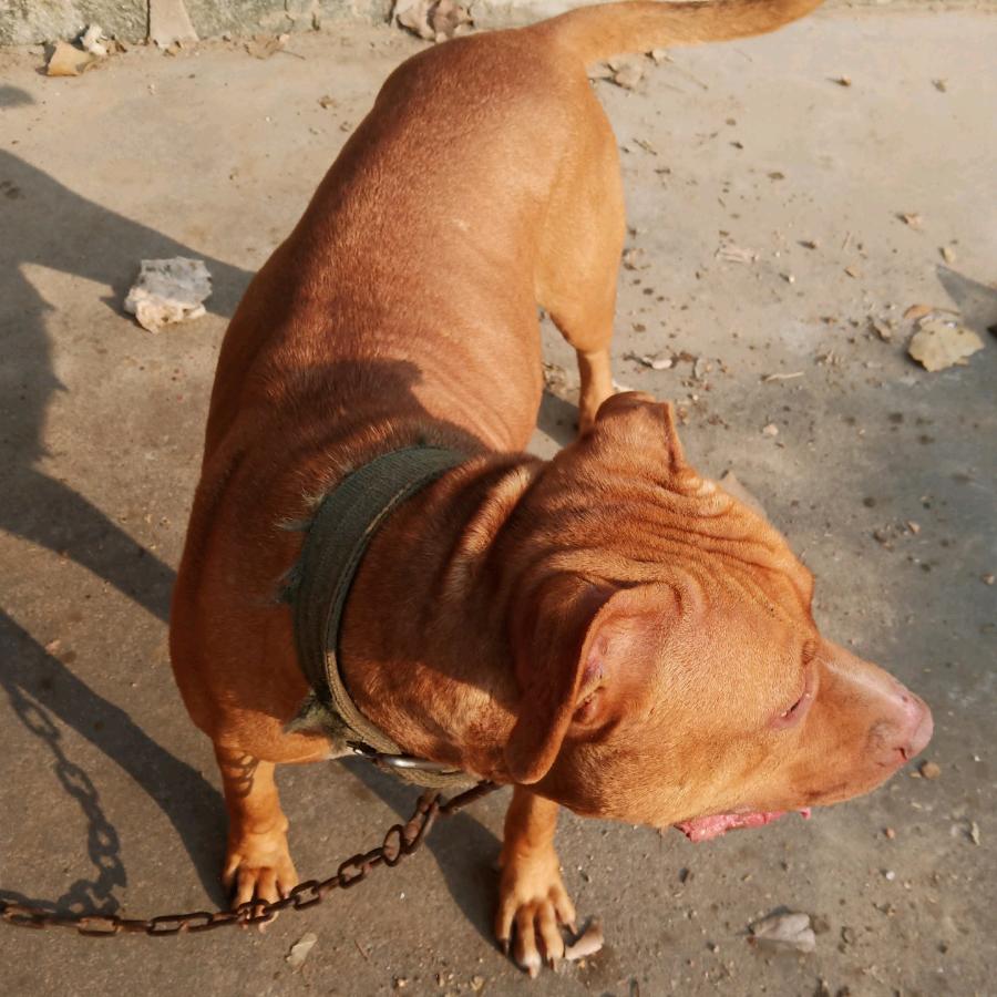 机会一定会来的👿👿👿👿